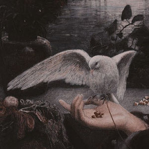 Meet your Posher, Maisha